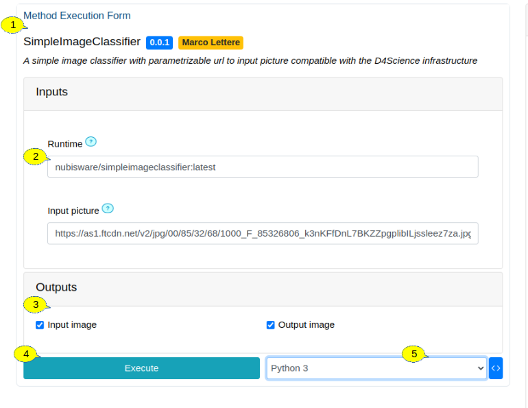 Method execution form